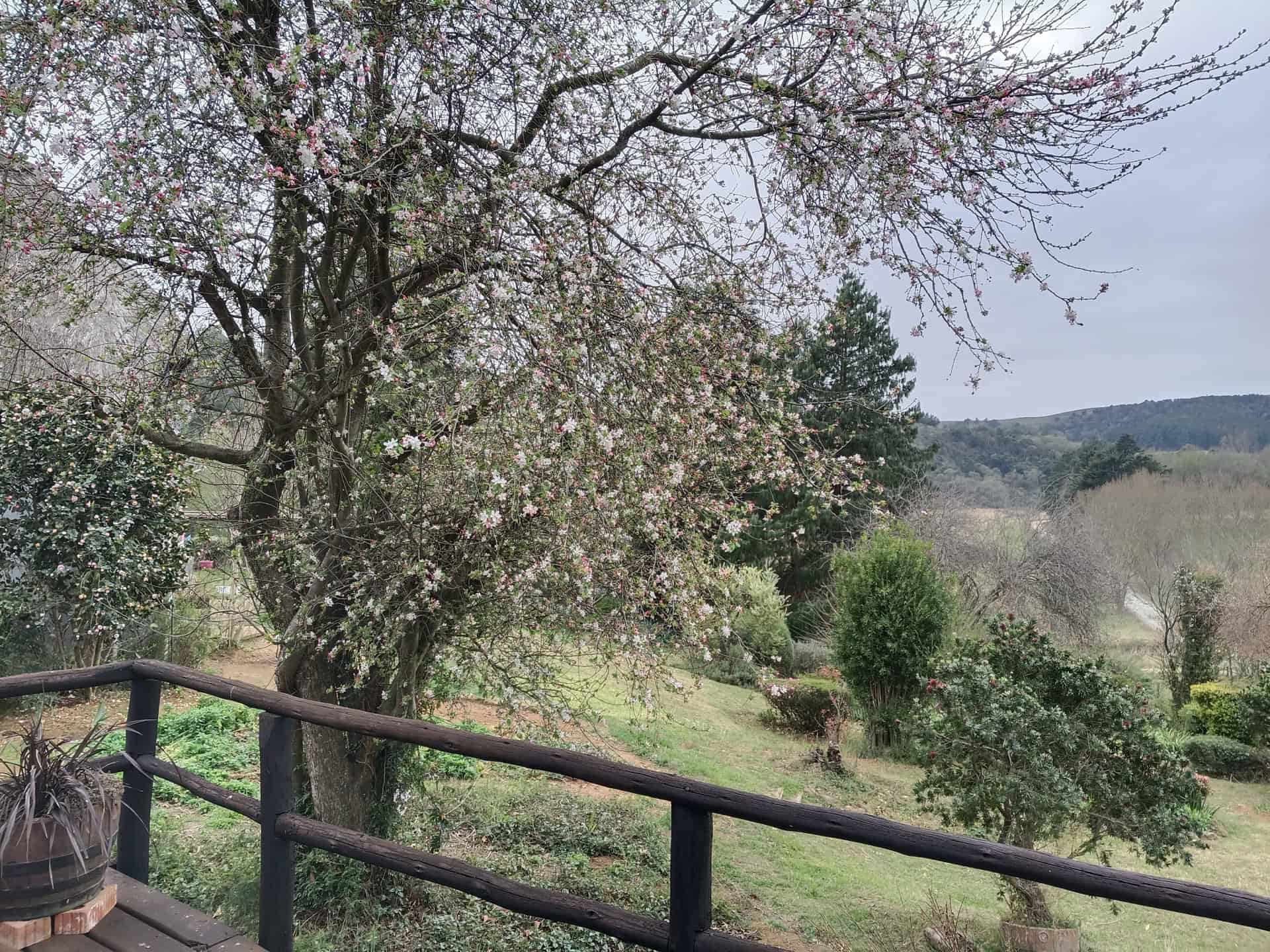 Glensheiling cottage - 20250826_085401