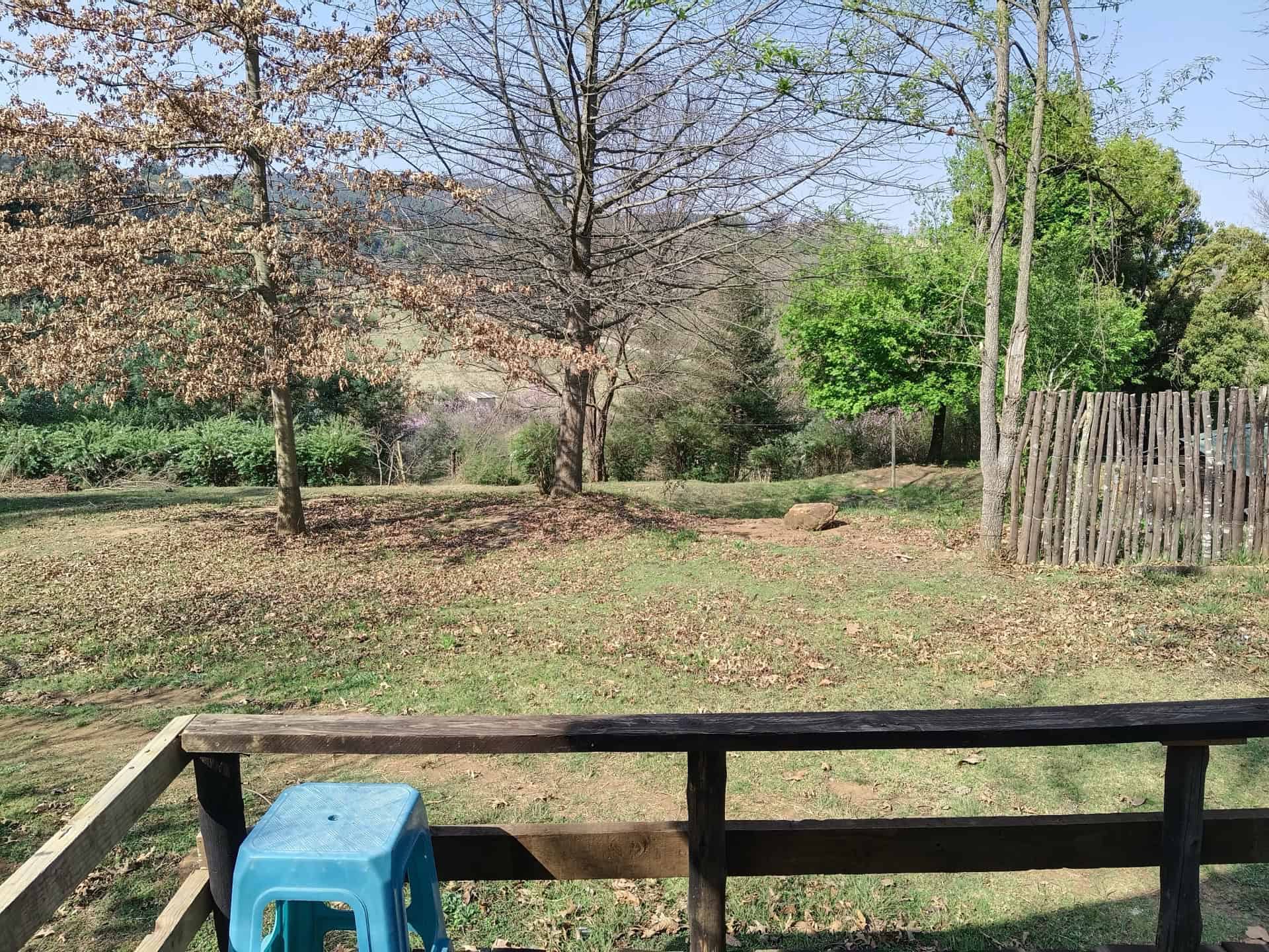 TheWoodenCroft_20250904_142758