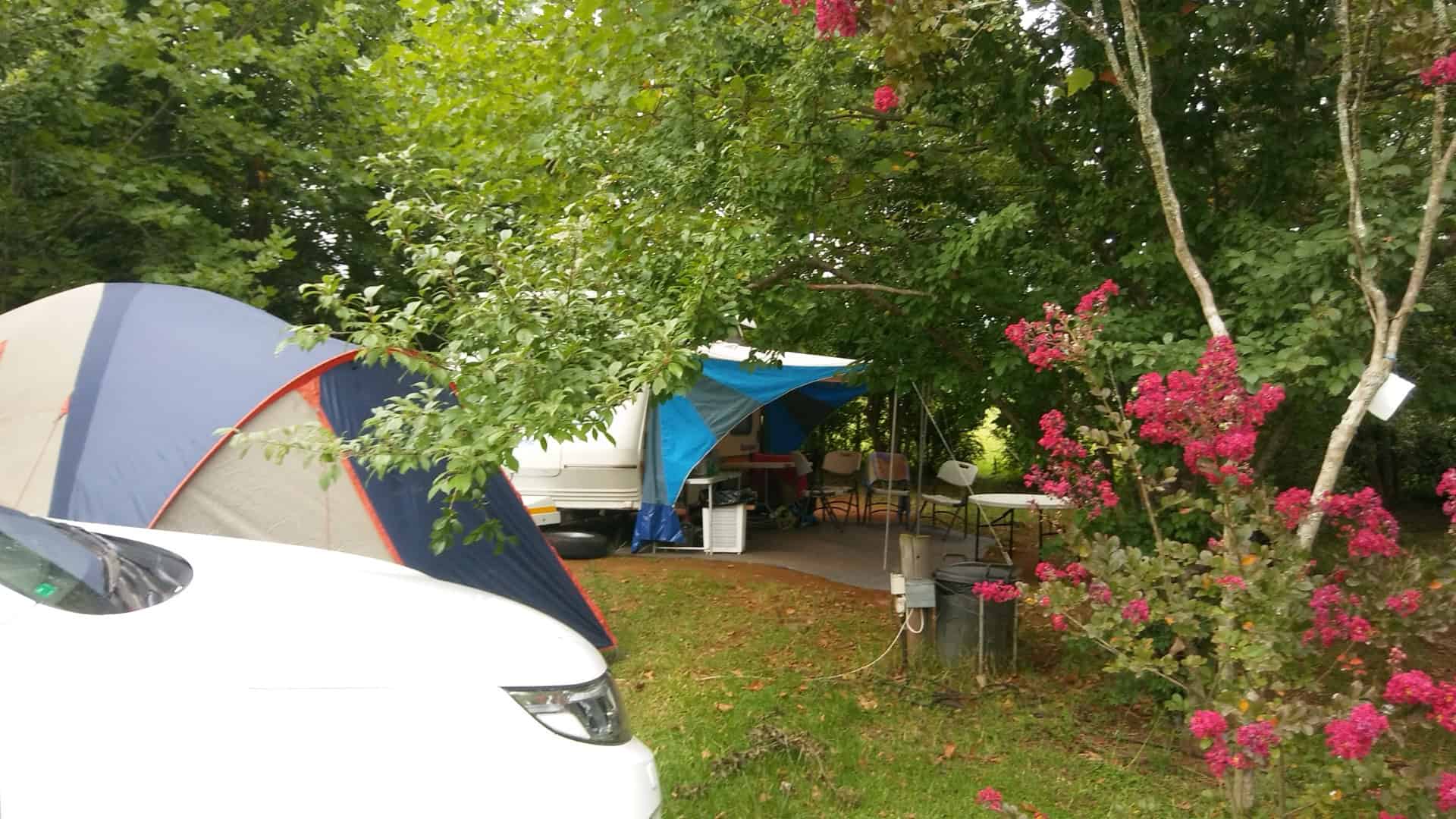 Website - 20190209_075636