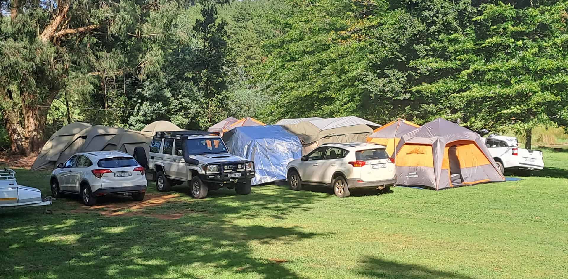 Website - 20241229_081105