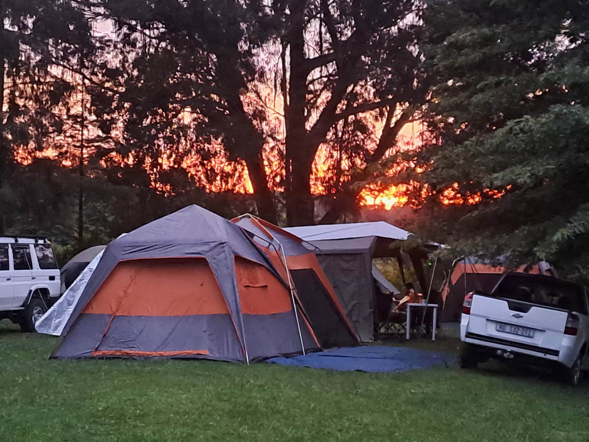 Website - 20250101_191502